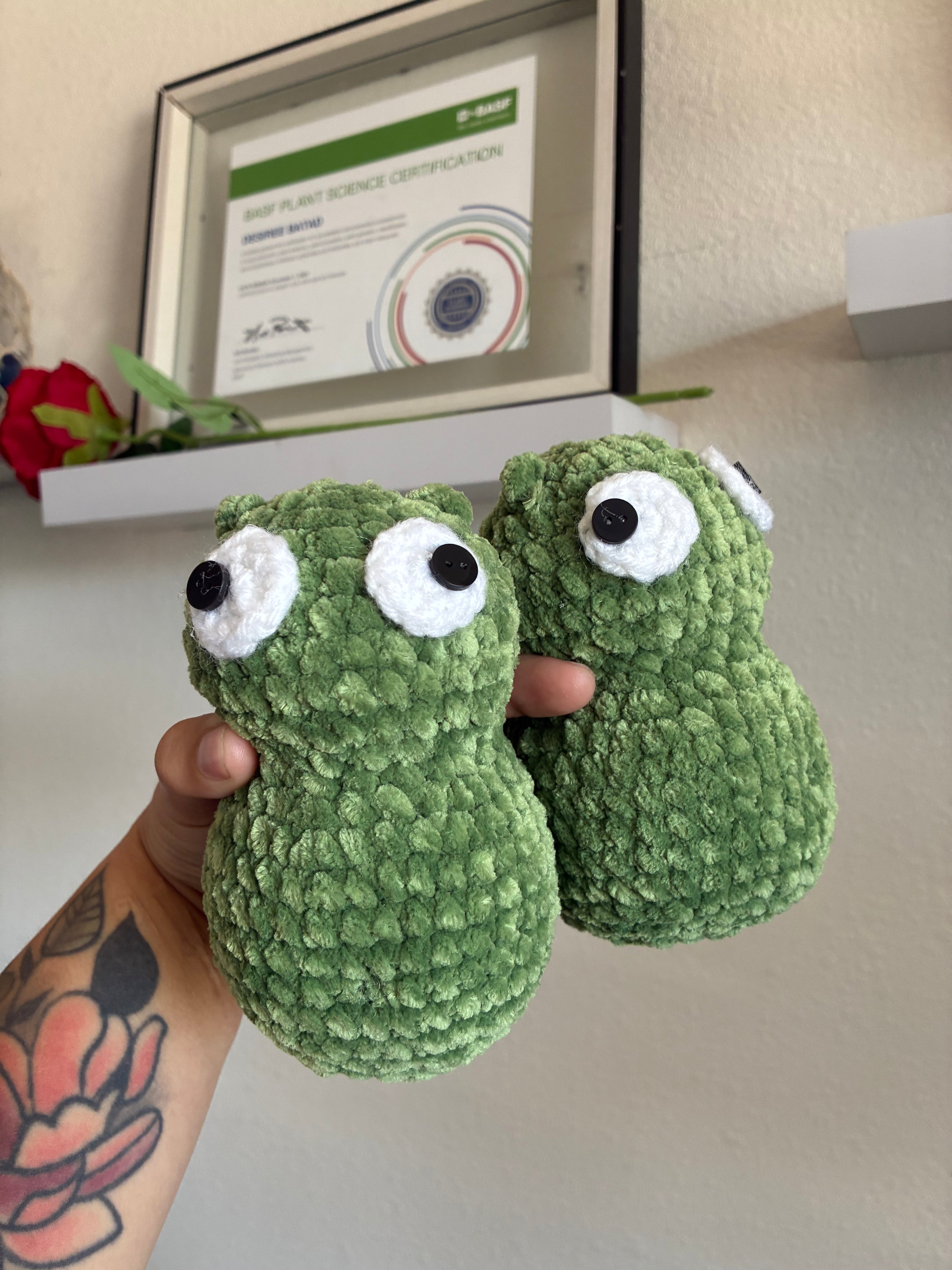 Kuchi Kopi