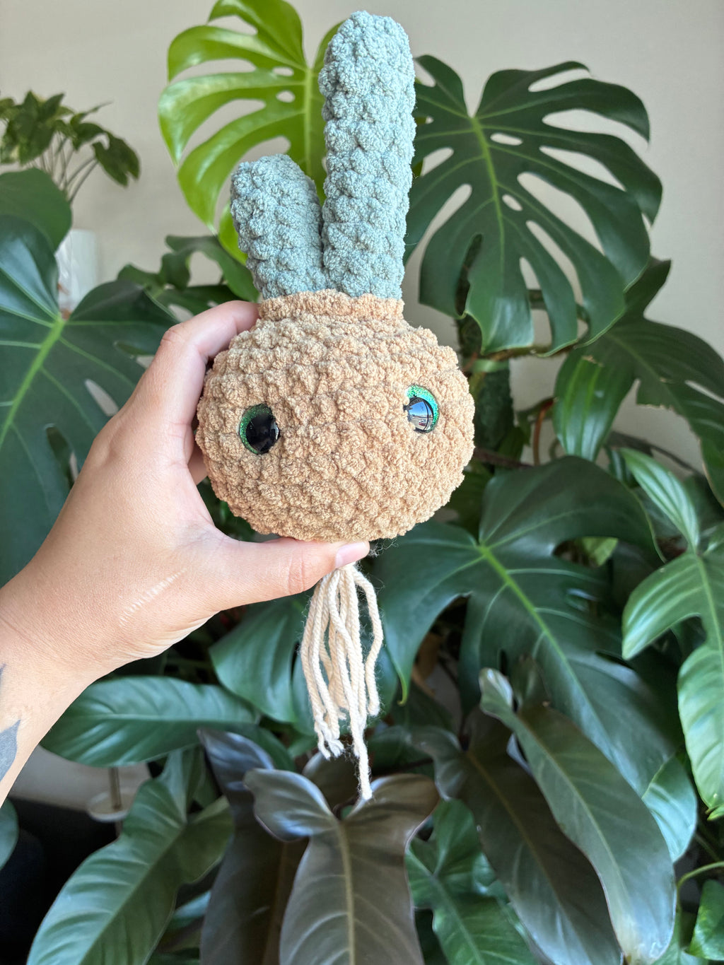 Overgrown Pantry Onion